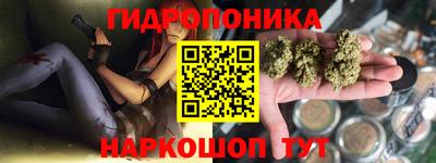 ешки Лесосибирск