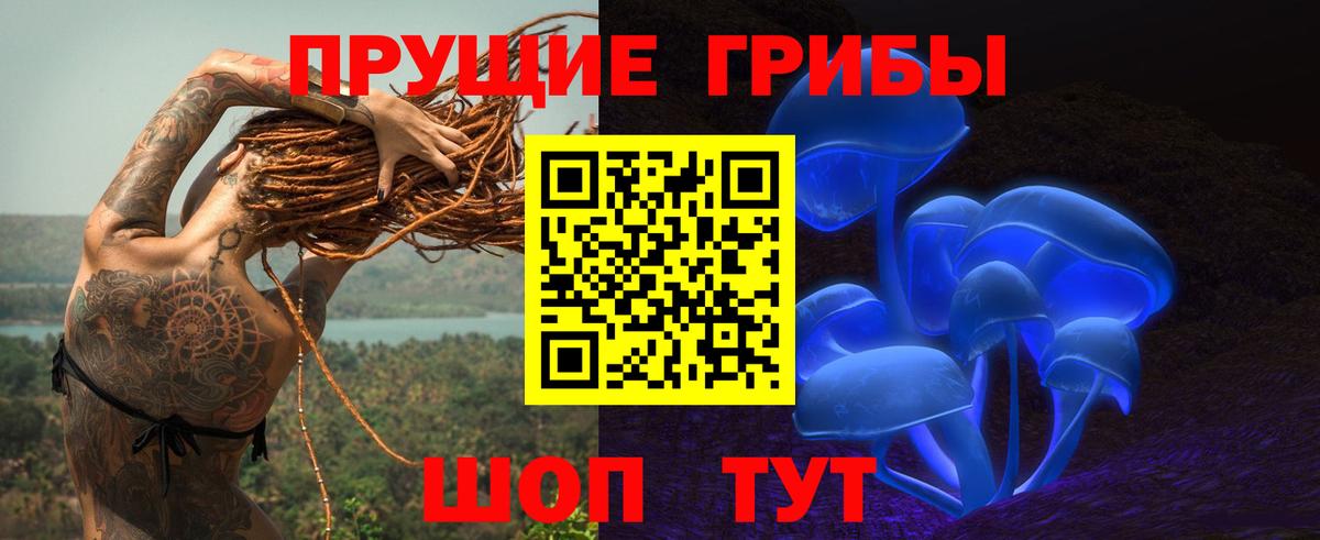 Галлюциногенные грибы Magic Shrooms Карпинск